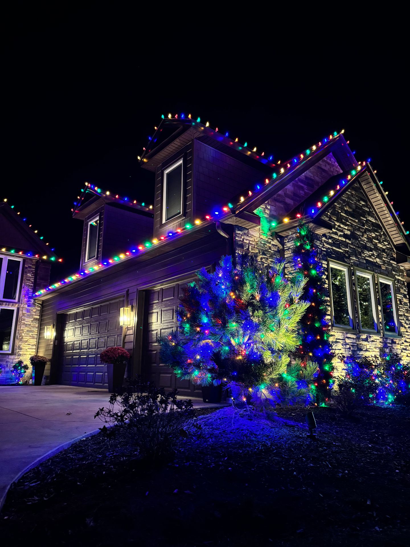 Colorful roofline and tree lighting