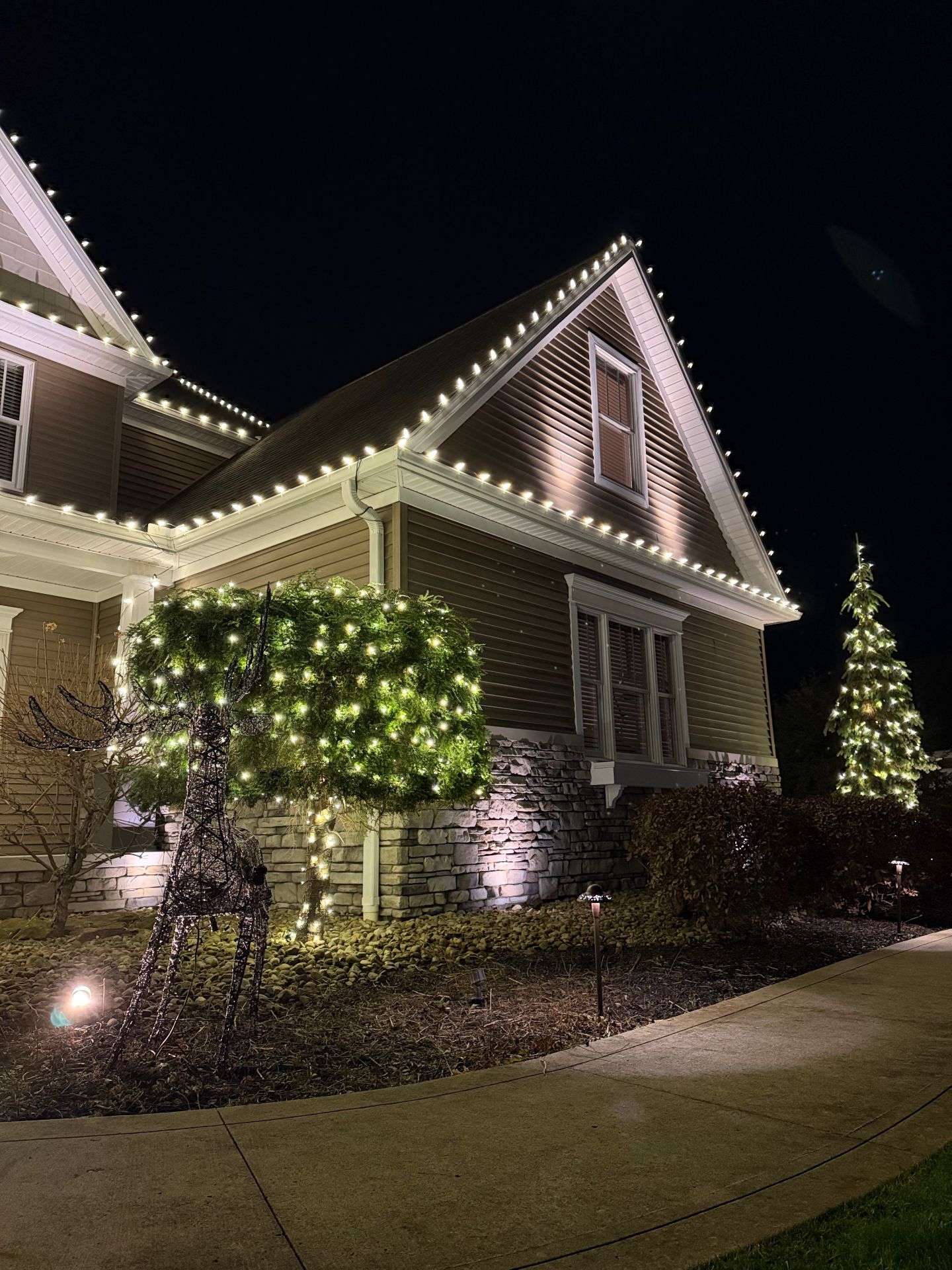 House with tree and shrub lighting