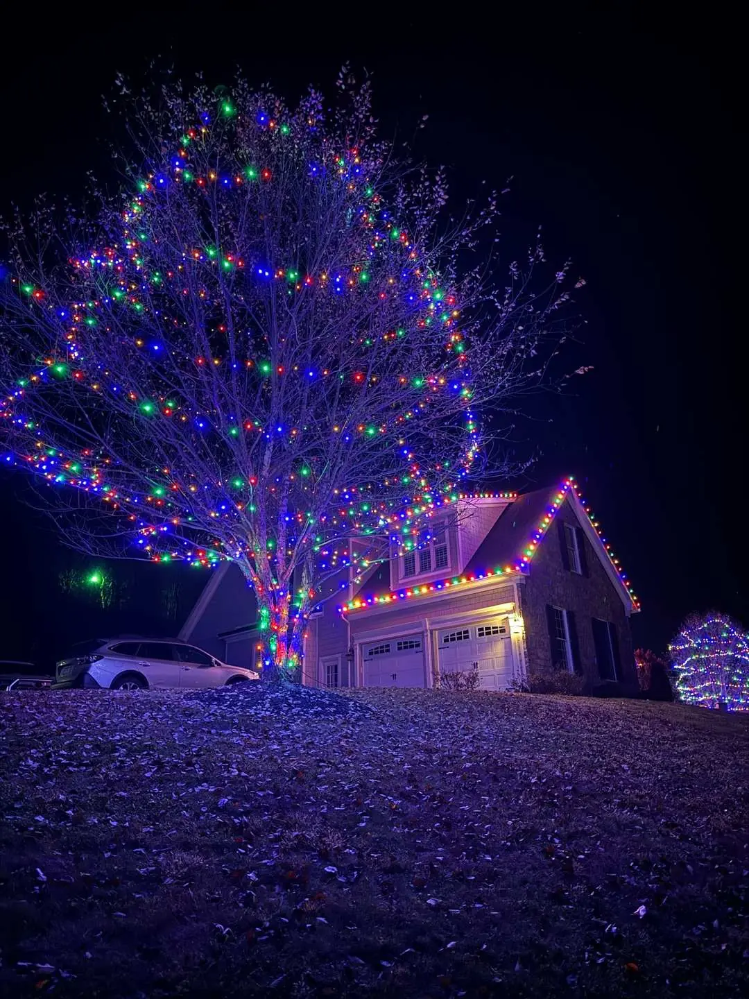 Colorful tree and roofline display