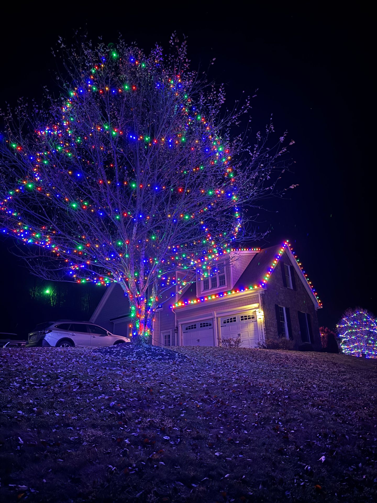 Colorful tree and roofline display