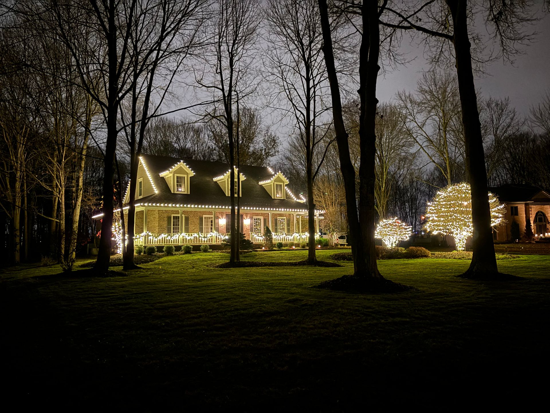 Colonial home with roofline and tree lights