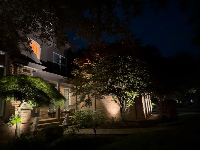 Front garden beds and a Japanese maple lit along the walk