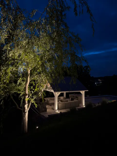 Birch tree uplit with a lit pavilion in the background