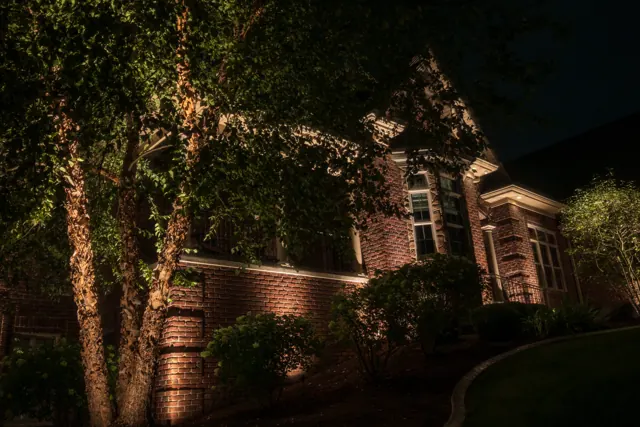 Multi-stem tree uplit in front of a brick home
