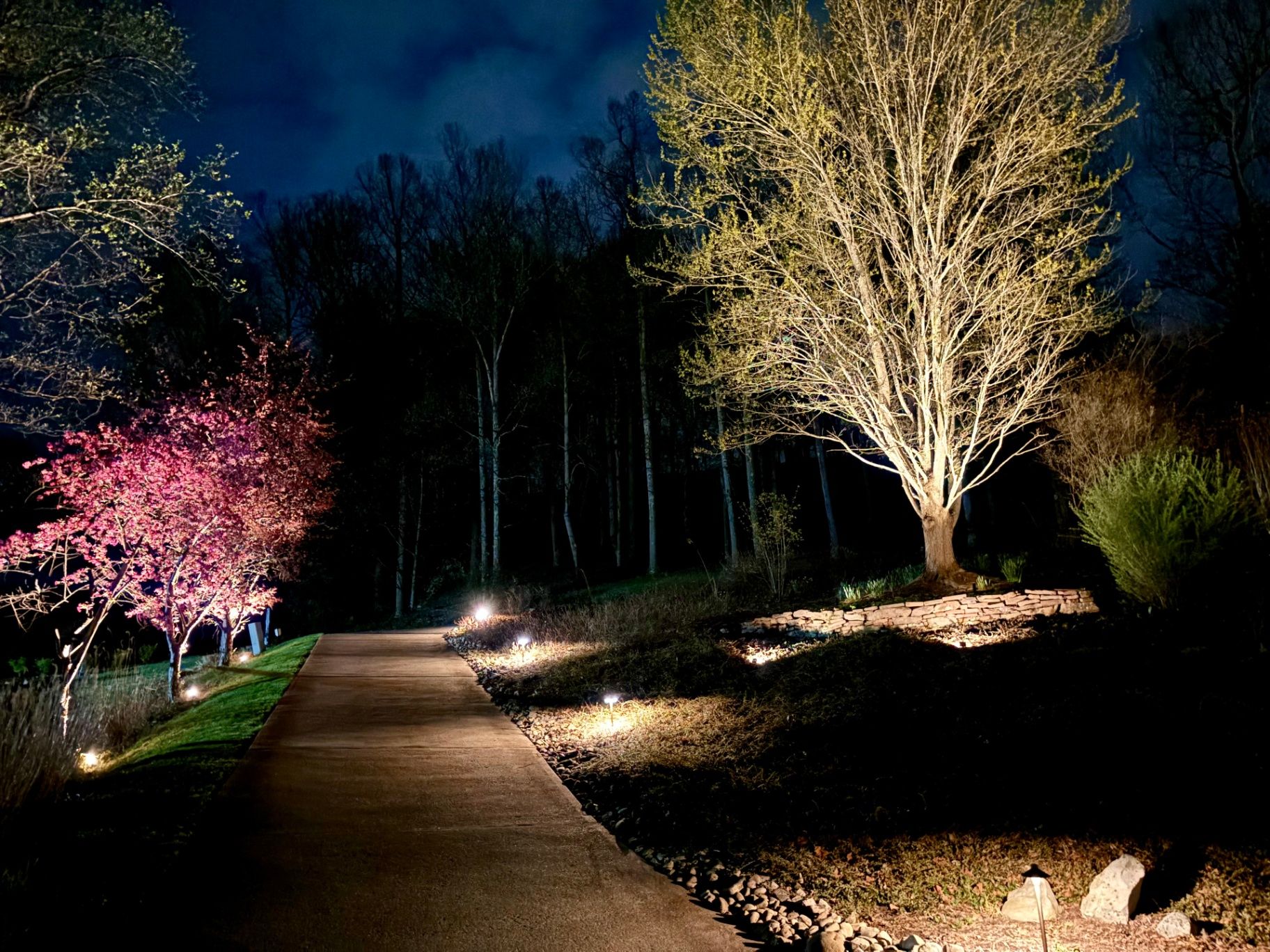 Tree lighting video thumbnail