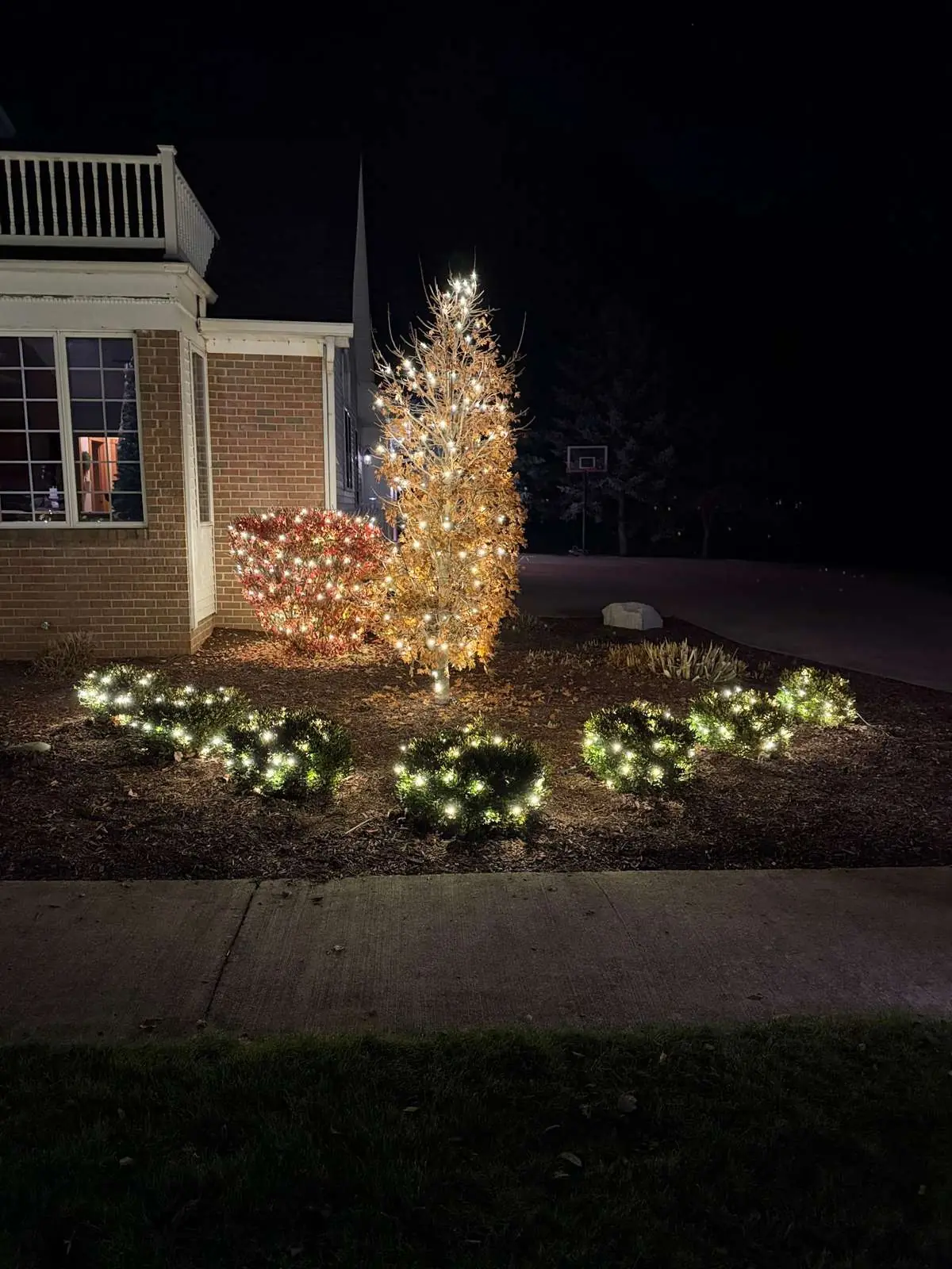Shrub Lighting