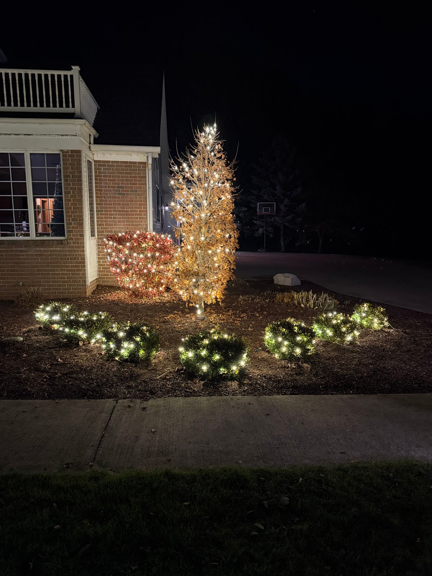 Shrub Lighting