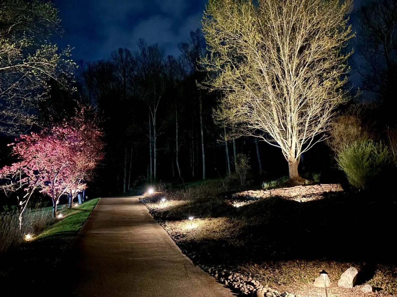 Landscape Lighting