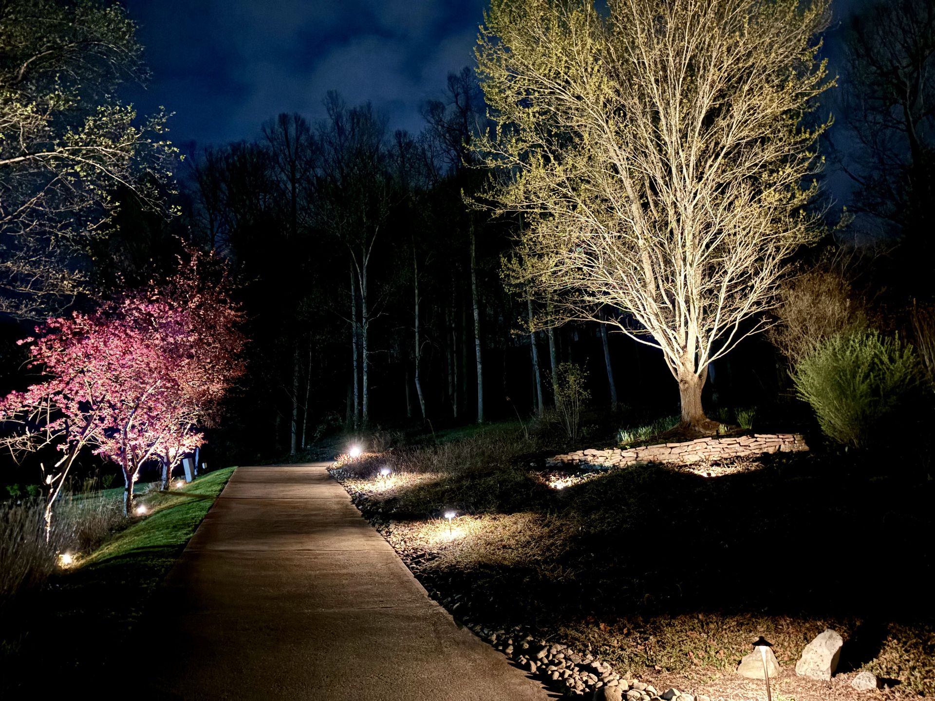 Landscape Lighting